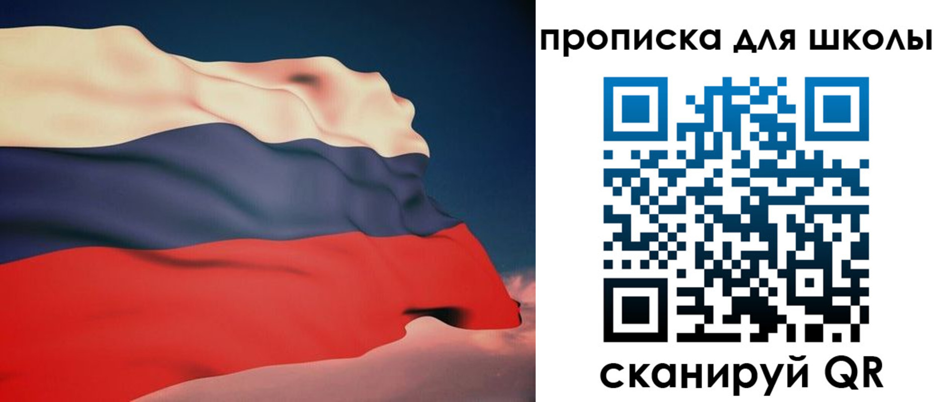 временная регистрация поиск в Новосибирской области